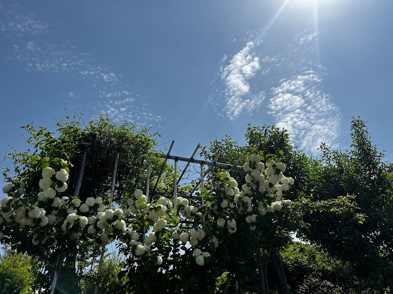 愛の花園（LOVELY GARDEN）