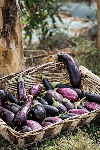 Photos du propriétaire du Restaurant de cuisine traditionnelle Ferme de Garance à Magnac-Laval - n°14