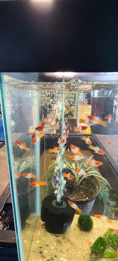 Pet Store «Fish & Pets Ranch», reviews and photos, 10100 Kleckley Dr, Houston, TX 77075, USA