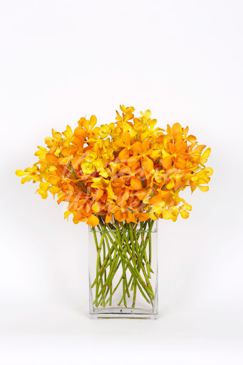 Florist «La Fleur Florals and Events», reviews and photos, 2047 Wilton Dr, Wilton Manors, FL 33305, USA