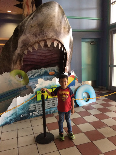 Movie Theater «Miami Lakes 17 Theatre», reviews and photos, 6743 Main St, Miami Lakes, FL 33014, USA