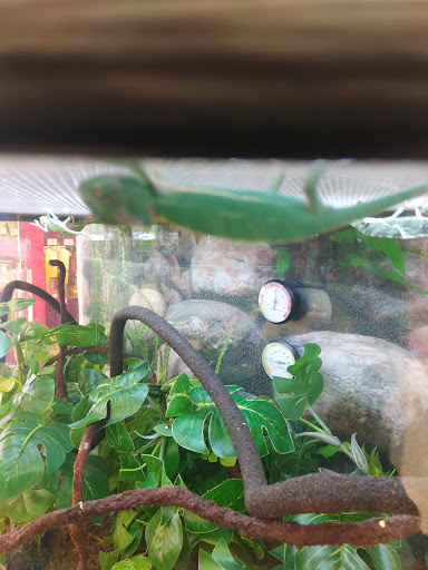 Pet Supply Store «PetSmart», reviews and photos, 6675 S Virginia St, Reno, NV 89511, USA