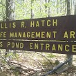 Ellis R. Hatch Jr. Wildlife Management Area