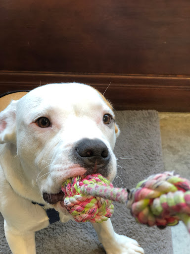 Barber Shop «Blades Co. Barbershop», reviews and photos, 13 Columbus Ave, San Francisco, CA 94111, USA