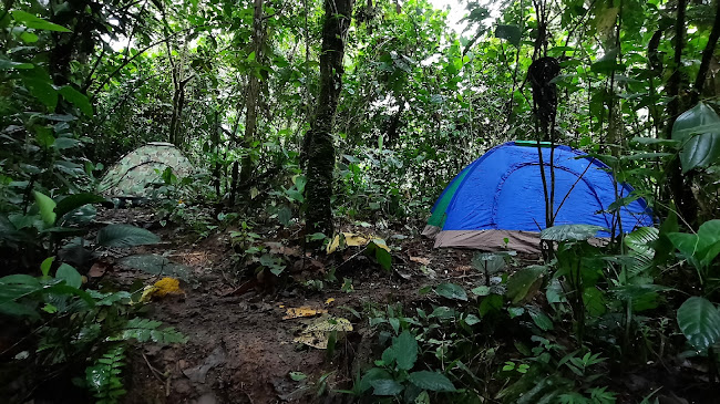 PAQCHA YACU CAMPING - Camping
