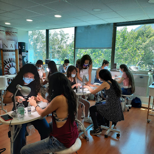 Opiniones de Beauty Art Studio 3er Piso en Providencia - Peluquería