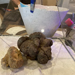 Photo n°2 de l'avis de Paolo.o fait le 30/10/2021 à 13:30 sur le  Trattoria Lea à Citta di Castello