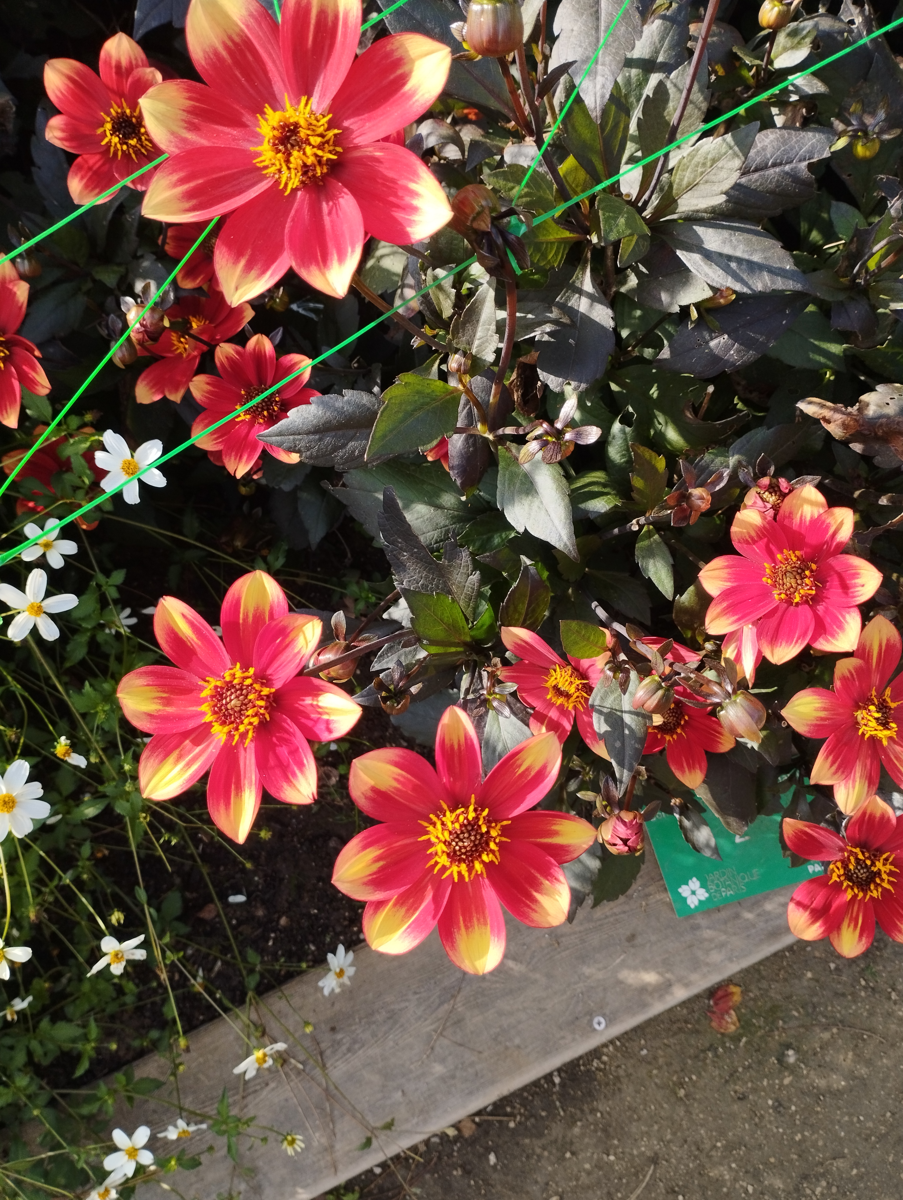 Photo n° 5 de l'avis de Muriel.a fait le 17/09/2021 à 23:41