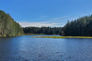 Cranberry Lake Park image