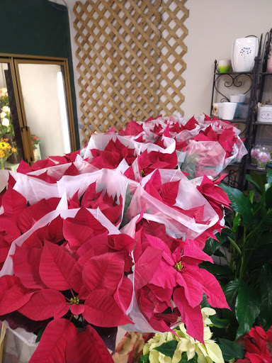 Florist «Grace Harper Florist, Inc.», reviews and photos, 4135 Woodward Ave, Detroit, MI 48201, USA