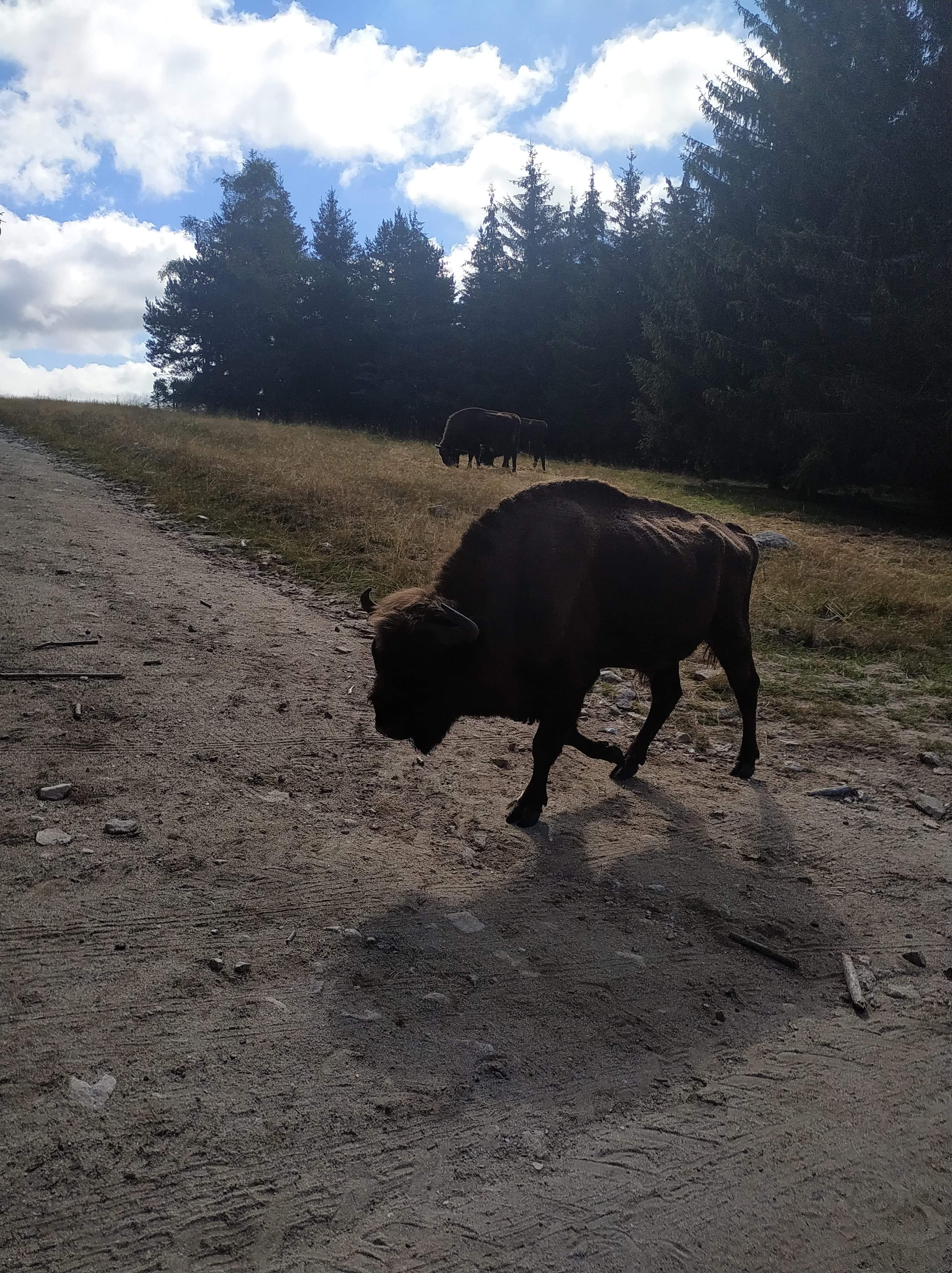 Photo n° 4 de l'avis de sylvain.o fait le 06/09/2020 à 15:14