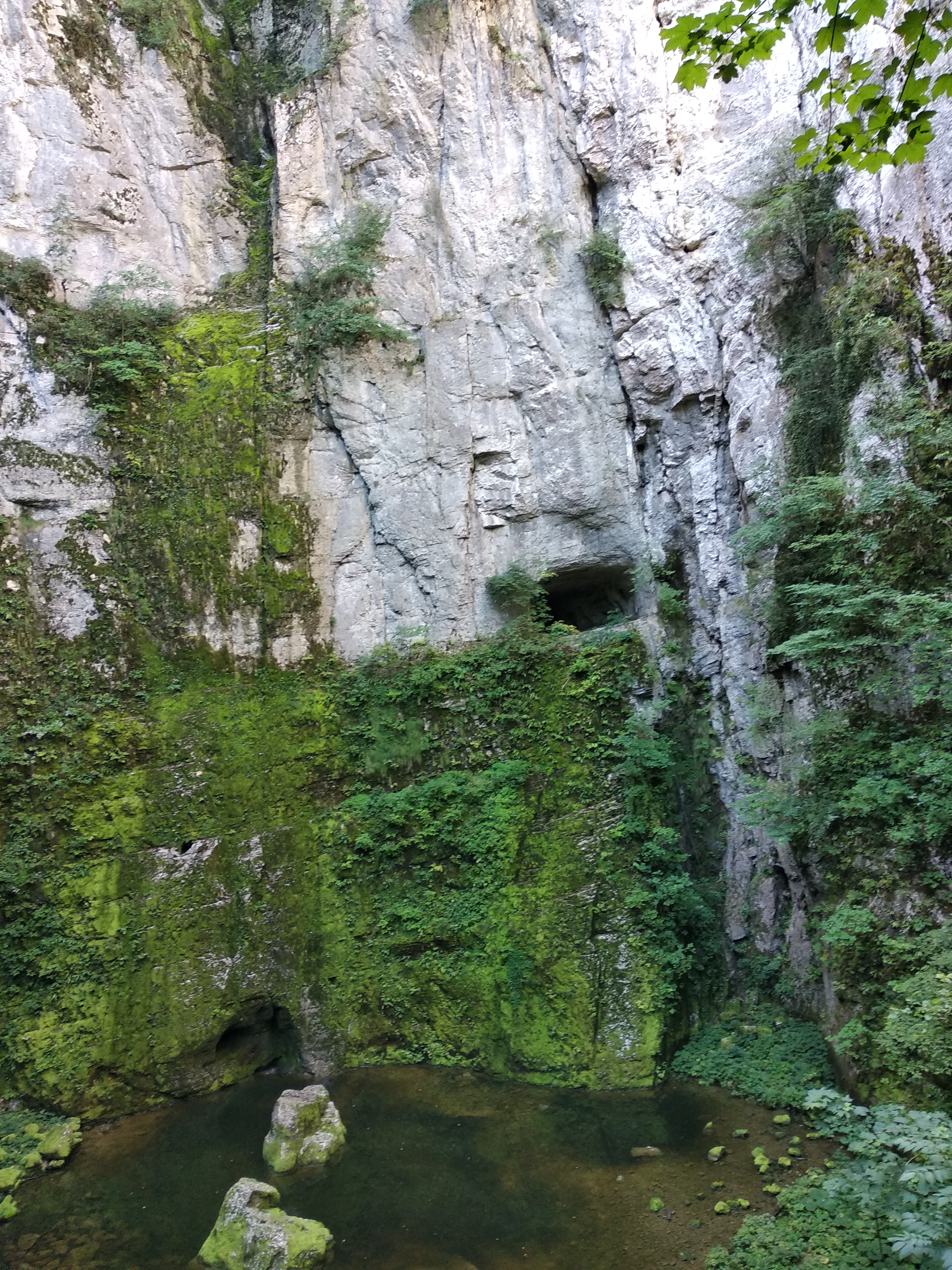 Photo n° 5 de l'avis de F.e fait le 22/08/2019 à 16:16