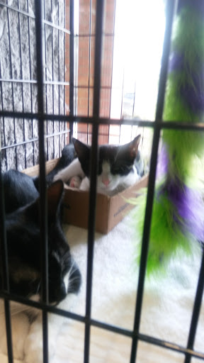 Pet Supply Store «Pet Valu», reviews and photos, 411 Valley Brook Ave, Lyndhurst, NJ 07071, USA