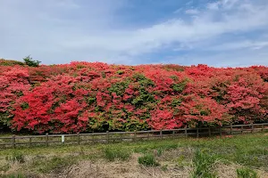 Funakubotsutsuji Park image