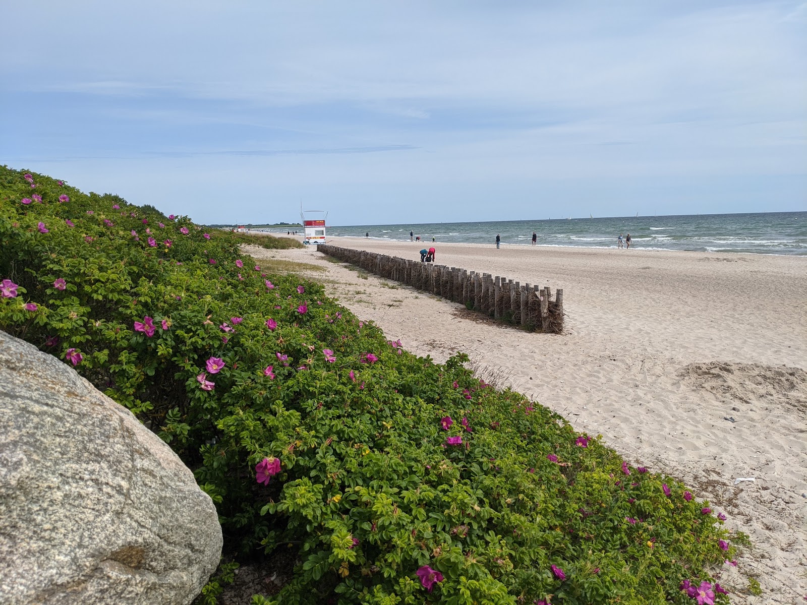 Foto av Damp strand - populär plats bland avkopplingskännare