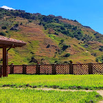 Photo n°4 de l'avis de Salvatore.a fait le 14/07/2022 à 15:28 sur le  Agriturismo Valle Lumia à Letojanni