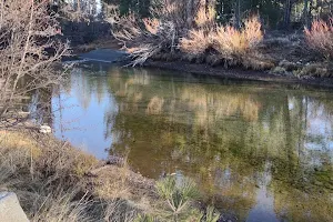 Tahoe City Winter Sports Park image