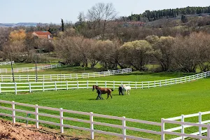 Green Gates Overnight stables for sport horses -Ecuries de transit Resort para caballos image