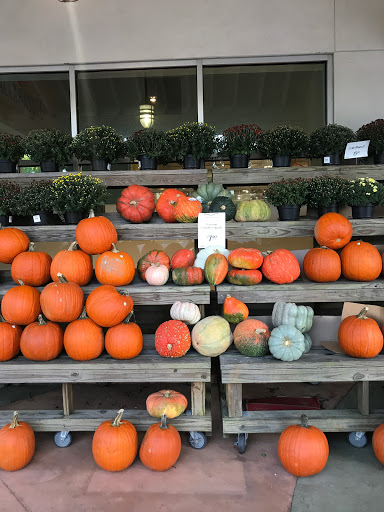 Grocery Store «Whole Foods Market», reviews and photos, 1817 Thomasville Rd, Tallahassee, FL 32303, USA