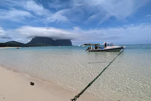 Dive Lord Howe image