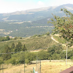 Photo n°2 de l'avis de Nicola.a fait le 02/03/2017 à 13:46 sur le  Bar trattoria Passeggiata à Spiazzi Bazzega