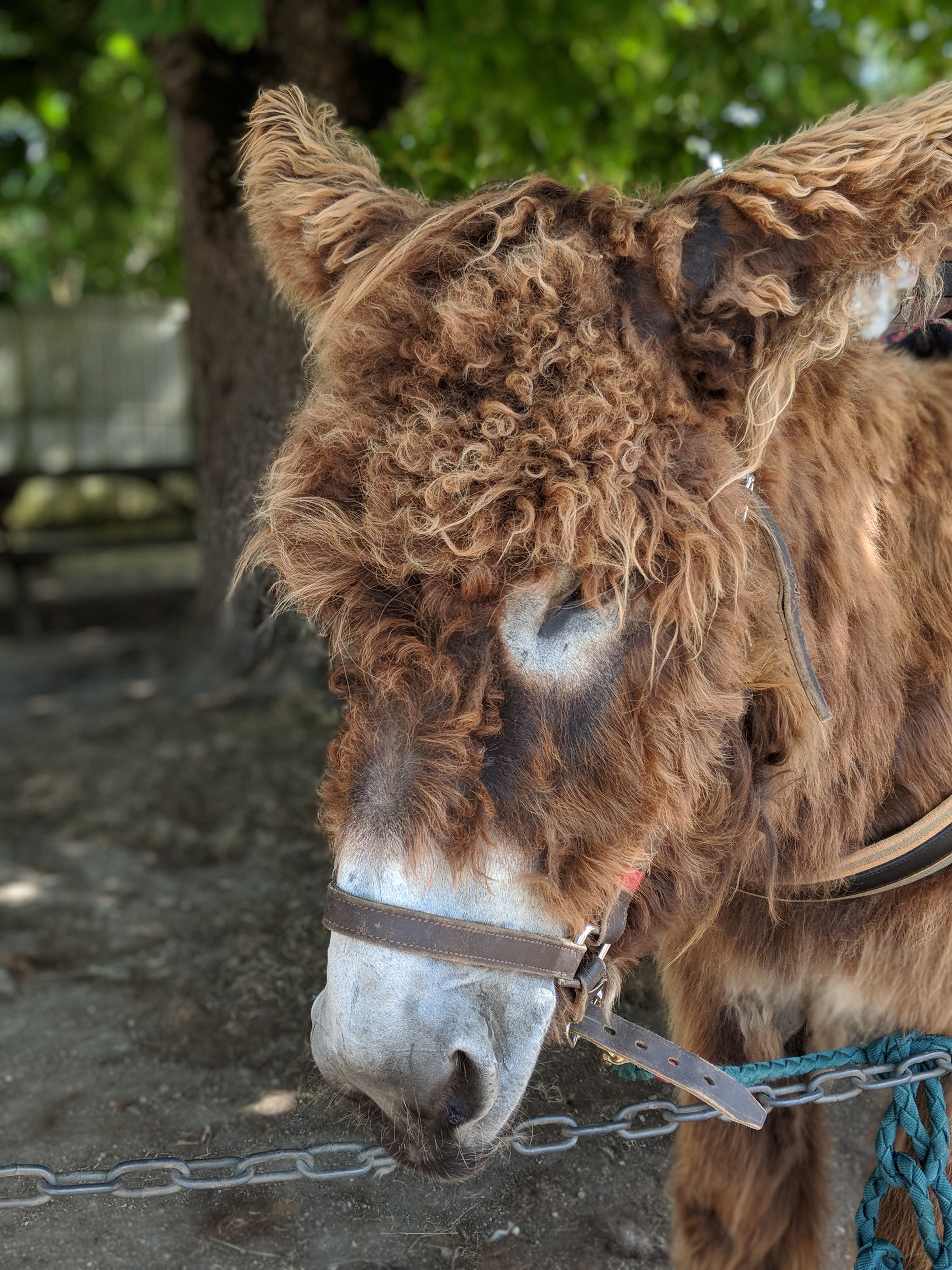 Photo n° 1 de l'avis de Mickaël.u fait le 16/07/2018 à 06:44
