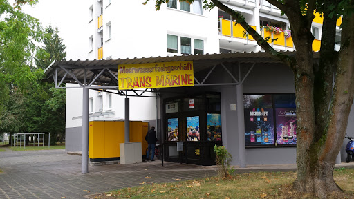 Trans Marine unter Nuremberg, 