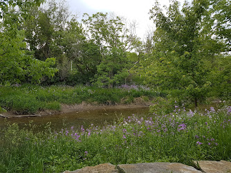 Mabel Davis Conservation Area