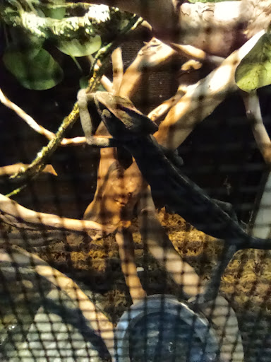 Pet Store «Fins Feathers Paws & Claws», reviews and photos, 436 Main St, Harleysville, PA 19438, USA