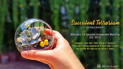 Little Eden Succulents Studio (Malaysia's 1st Succulent Terrarium Specialist Est. 2016)