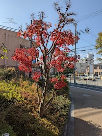 ザ・ライオンズ池田