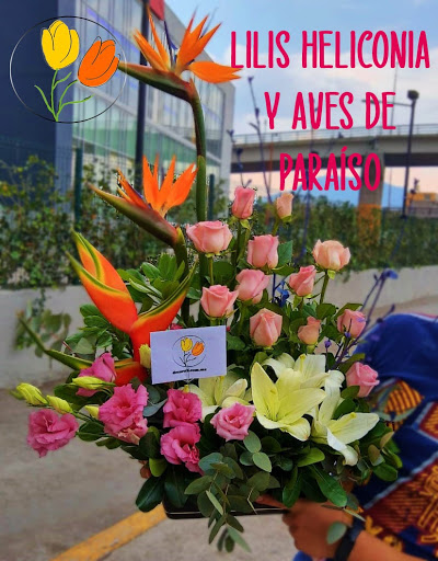 Decorali tu florería consentida – Ciudad Nicolás Romero