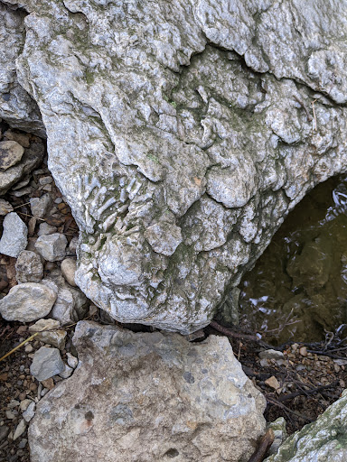 Park «Pioneer Park», reviews and photos, 10505 Deerfield Rd, Montgomery, OH 45242, USA