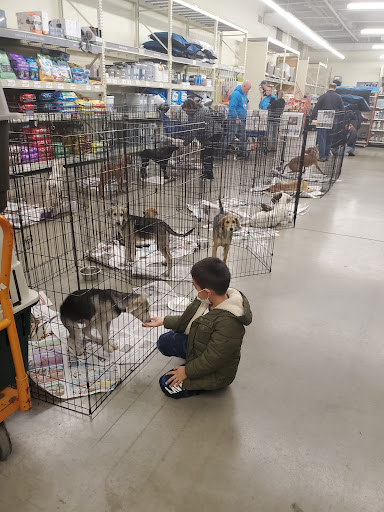 Pet Supply Store «PetSmart», reviews and photos, 3131 E Main St, Mohegan Lake, NY 10547, USA