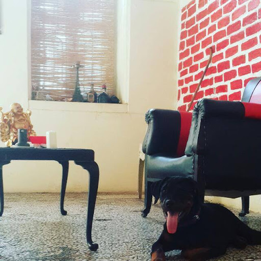 Pet Store «The Pet Works», reviews and photos, 240 14th St, Astoria, OR 97103, USA