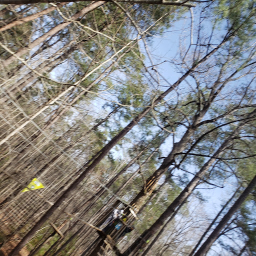 Recreation Center «Go Ape Zip Line & Treetop Adventure - Freedom Park», reviews and photos, 5537 Centerville Rd, Williamsburg, VA 23188, USA