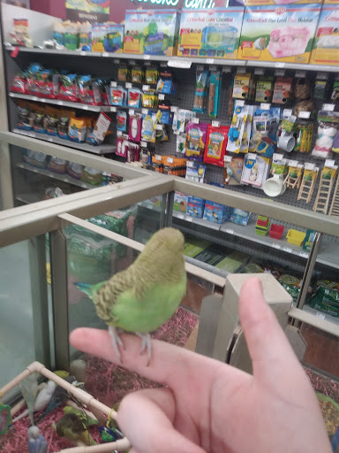 Pet Store «Petland», reviews and photos, 1600 Turner McCall Blvd, Rome, GA 30161, USA