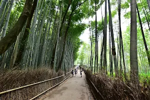 Sagano Bamboo Grove image