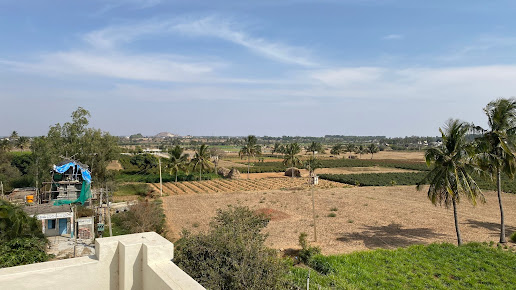 Google Maps image 11