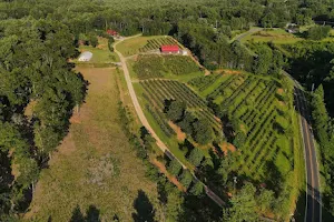 Perry's Berry's Vineyard & Winery image