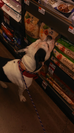 Pet Supply Store «Pet Supplies Plus», reviews and photos, 1704 Greenville Ave, Dallas, TX 75206, USA