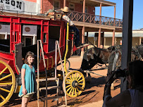 Todd's Amazing Tours - Photo 6 - Car repair in Gilbert, AZ, Gilbert