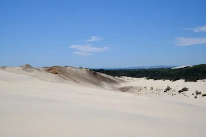 Big Sandhills image