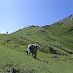 Photo n°20 de l'avis de Elisabetta.o fait le 13/07/2023 à 18:04 sur le  Rifugio Friedrich August à Campitello di Fassa