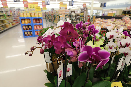 Grocery Store «Food Lion», reviews and photos, 936 Richards Rd, Antioch, TN 37013, USA