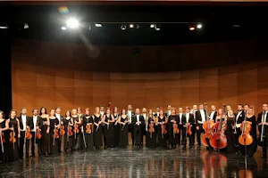 Bursa Devlet Senfoni Orkestrasi image