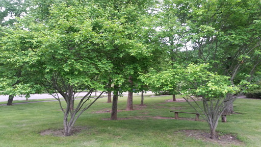 Park «Beech Woods Park», reviews and photos, 137 Beekman Rd, Kendall Park, NJ 08824, USA