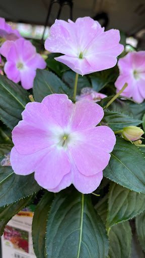 Home Improvement Store «The Home Depot», reviews and photos, 32525 Northwestern Hwy, Farmington Hills, MI 48334, USA