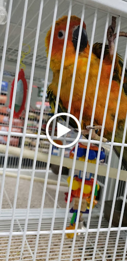 Pet Store «Pet Supermarket», reviews and photos, 2542-2598 S Washington Ave, Titusville, FL 32780, USA