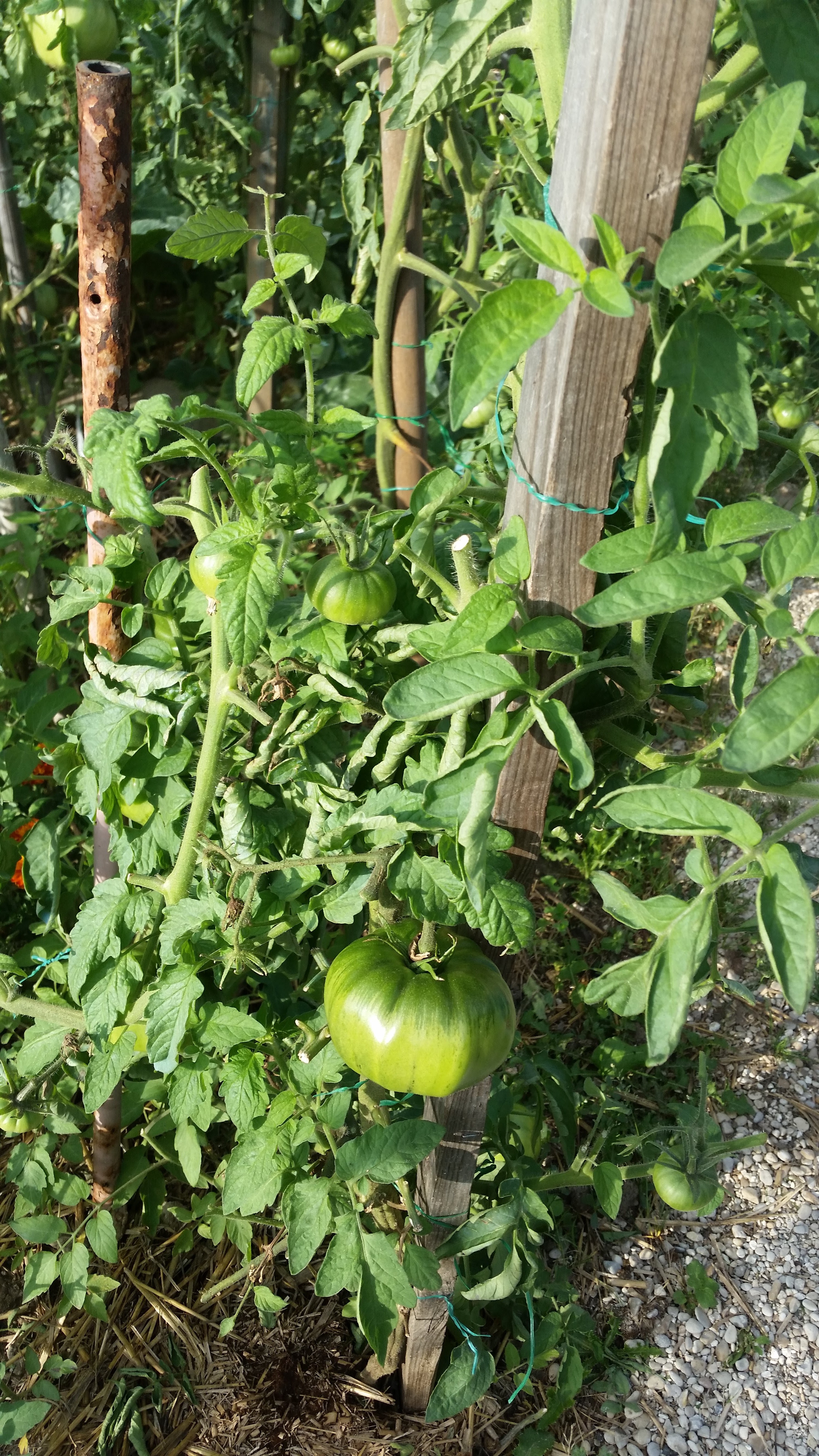 Photo n° 3 de l'avis de catherine.o fait le 01/09/2018 à 16:16